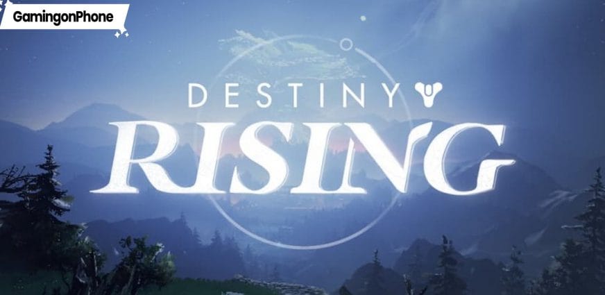 Destiny Rising support email with order ID and receipt attachments