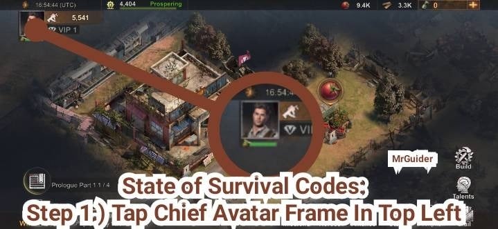 State of Survival Chief profile screen with numeric ID