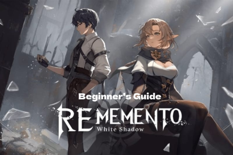 Rememento: White Shadow seller vetting guide visual
