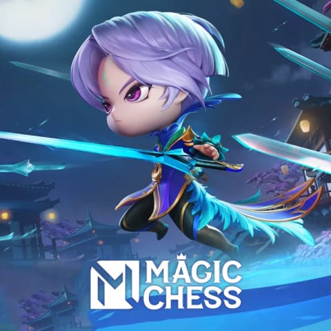 مقارنة خيارات دفع Magic Chess Go Go التي تظهر طرق البطاقة، والمحفظة، وApple Pay، وGoogle Pay